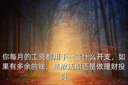 你每月的工資都用于一些什么開支，如果有多余的錢，是放活期還是做理財(cái)投資