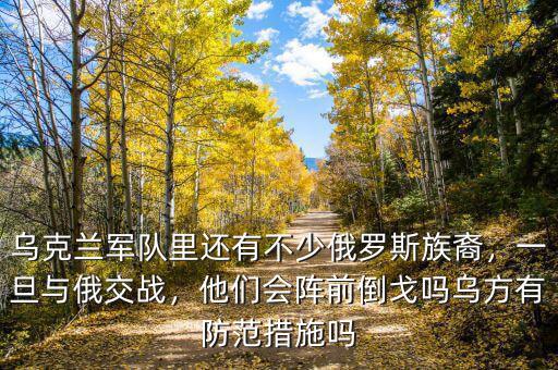 烏克蘭軍隊(duì)里還有不少俄羅斯族裔，一旦與俄交戰(zhàn)，他們會陣前倒戈嗎烏方有防范措施嗎