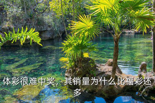 體彩很難中獎(jiǎng)，其銷量為什么比福彩還多