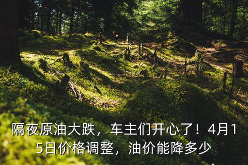 隔夜原油大跌，車主們開心了！4月15日價格調(diào)整，油價能降多少