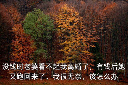 沒錢時(shí)老婆看不起我離婚了，有錢后她又跑回來(lái)了，我很無(wú)奈，該怎么辦