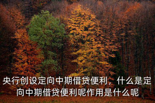 央行創(chuàng)設(shè)定向中期借貸便利，什么是定向中期借貸便利呢作用是什么呢