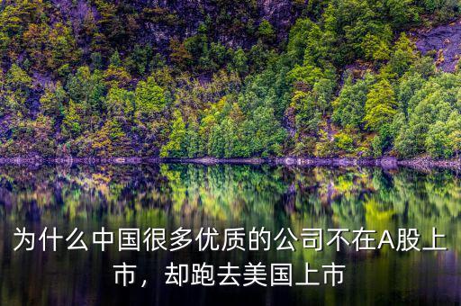 為什么中國(guó)很多優(yōu)質(zhì)的公司不在A股上市，卻跑去美國(guó)上市