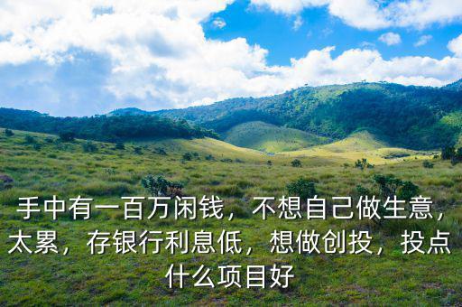 手中有一百萬閑錢，不想自己做生意，太累，存銀行利息低，想做創(chuàng)投，投點什么項目好