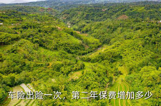 車險(xiǎn)出險(xiǎn)一次，第二年保費(fèi)增加多少