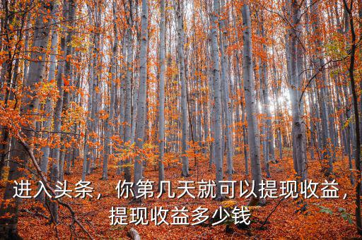進(jìn)入頭條，你第幾天就可以提現(xiàn)收益，提現(xiàn)收益多少錢(qián)