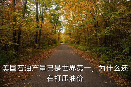 美國(guó)石油產(chǎn)量已是世界第一，為什么還在打壓油價(jià)