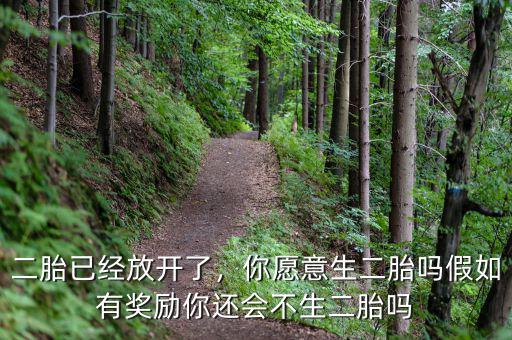 二胎已經(jīng)放開了，你愿意生二胎嗎假如有獎勵你還會不生二胎嗎
