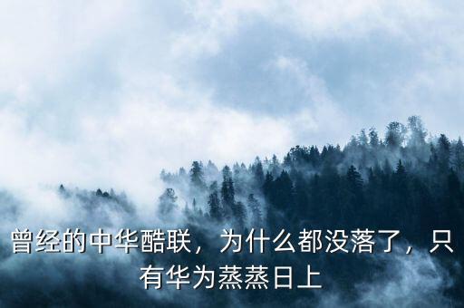曾經(jīng)的中華酷聯(lián)，為什么都沒落了，只有華為蒸蒸日上
