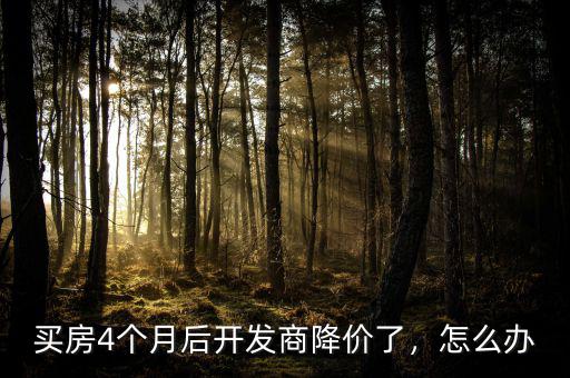買房4個月后開發(fā)商降價了，怎么辦