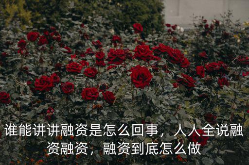 誰能講講融資是怎么回事，人人全說融資融資，融資到底怎么做