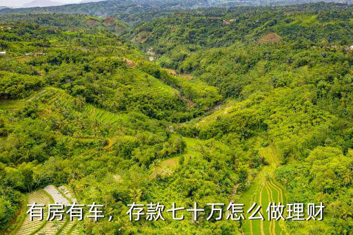 有房有車，存款七十萬怎么做理財(cái)
