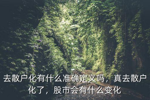 去散戶化有什么準(zhǔn)確定義嗎，真去散戶化了，股市會有什么變化