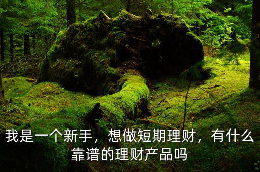 我是一個新手，想做短期理財，有什么靠譜的理財產品嗎