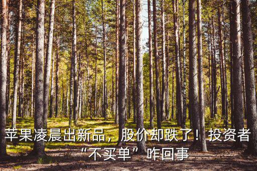 蘋果凌晨出新品，股價卻跌了！投資者“不買單”咋回事