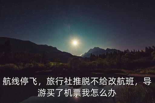 航線停飛，旅行社推脫不給改航班，導游買了機票我怎么辦