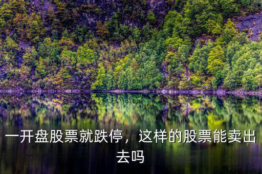 一開盤股票就跌停，這樣的股票能賣出去嗎