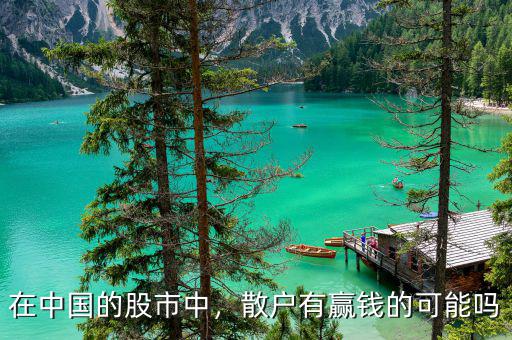 在中國的股市中，散戶有贏錢的可能嗎