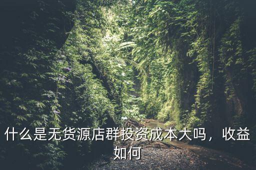 什么是無貨源店群投資成本大嗎，收益如何