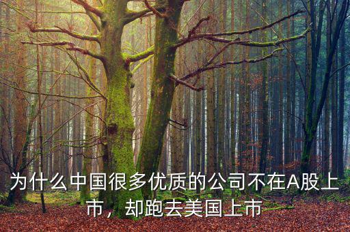 為什么中國(guó)很多優(yōu)質(zhì)的公司不在A股上市，卻跑去美國(guó)上市