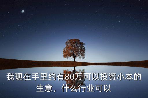 我現(xiàn)在手里約有80萬可以投資小本的生意，什么行業(yè)可以