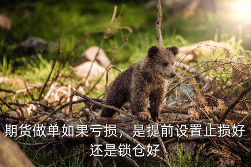 期貨做單如果虧損，是提前設(shè)置止損好還是鎖倉好