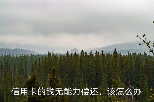 信用卡還款困難怎么辦,信用卡的錢無(wú)能力償還
