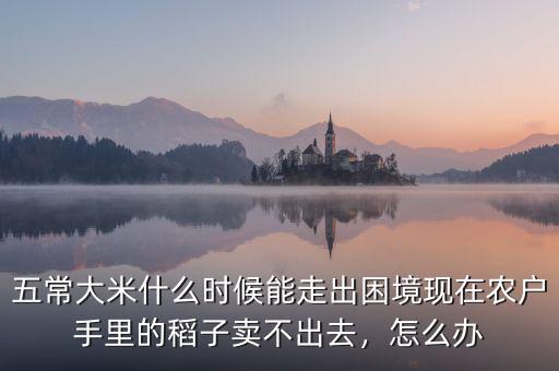 15年農(nóng)戶糧食賣(mài)不出去怎么辦,現(xiàn)在農(nóng)戶手里的稻子賣(mài)不出去