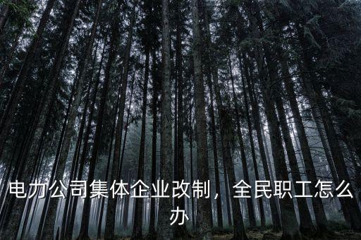 電力公司集體企業(yè)改制，全民職工怎么辦