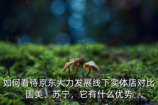 如何看待京東大力發(fā)展線下實體店對比國美、蘇寧，它有什么優(yōu)勢