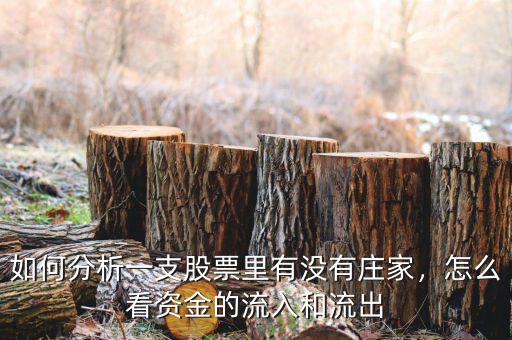 如何分析一支股票里有沒(méi)有莊家，怎么看資金的流入和流出