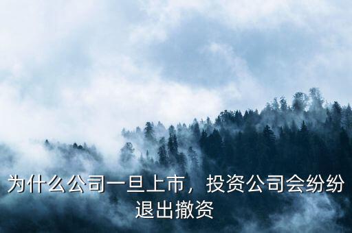 為什么公司一旦上市，投資公司會紛紛退出撤資