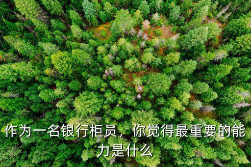 作為一名銀行柜員，你覺得最重要的能力是什么