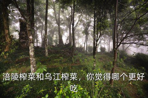 涪陵榨菜和烏江榨菜，你覺(jué)得哪個(gè)更好吃