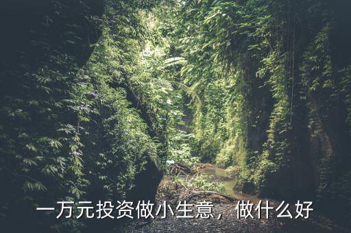 一萬元投資做小生意，做什么好