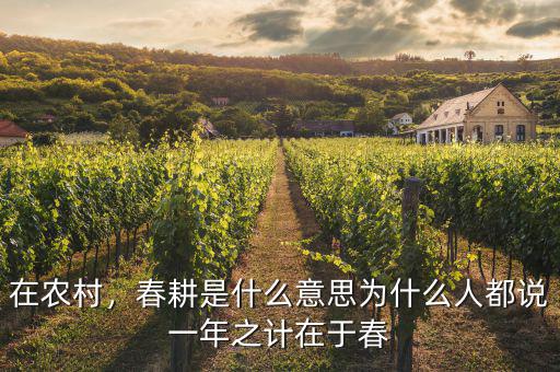 在農(nóng)村，春耕是什么意思為什么人都說(shuō)一年之計(jì)在于春