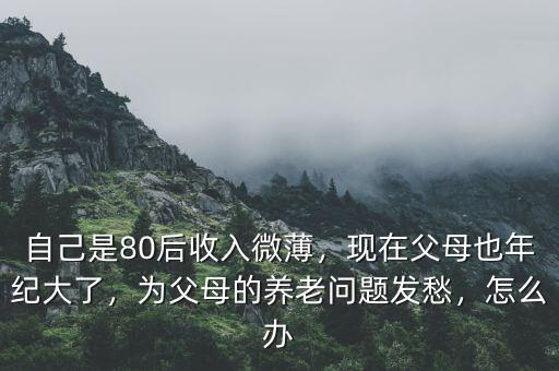 自己是80后收入微薄，現(xiàn)在父母也年紀(jì)大了，為父母的養(yǎng)老問題發(fā)愁，怎么辦
