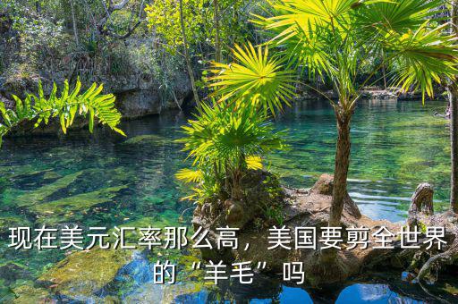 現(xiàn)在美元匯率那么高，美國要剪全世界的“羊毛”嗎