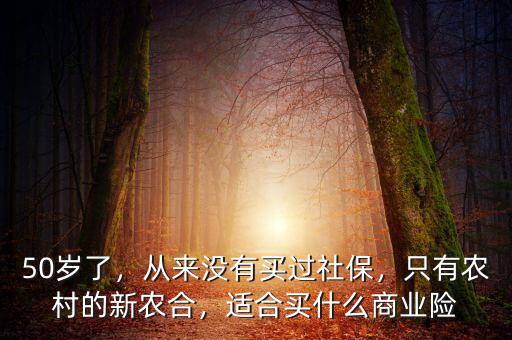 50歲了，從來沒有買過社保，只有農(nóng)村的新農(nóng)合，適合買什么商業(yè)險(xiǎn)