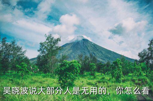 吳曉波說(shuō)大部分人是無(wú)用的，你怎么看