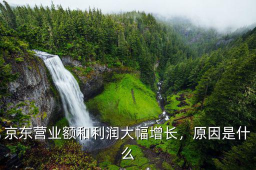京東營業(yè)額和利潤大幅增長，原因是什么