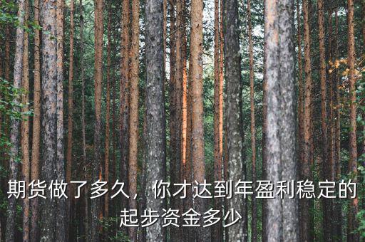 期貨做了多久，你才達(dá)到年盈利穩(wěn)定的起步資金多少