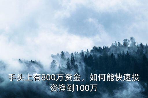 手頭上有800萬(wàn)資金，如何能快速投資掙到100萬(wàn)