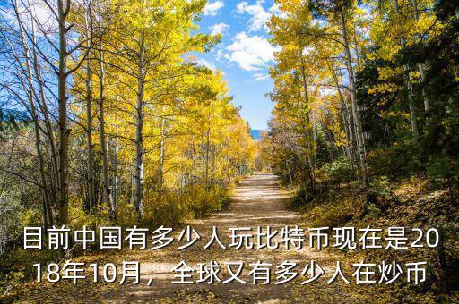 目前中國有多少人玩比特幣現(xiàn)在是2018年10月，全球又有多少人在炒幣