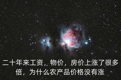 二十年來工資，物價，房價上漲了很多倍，為什么農(nóng)產(chǎn)品價格沒有漲