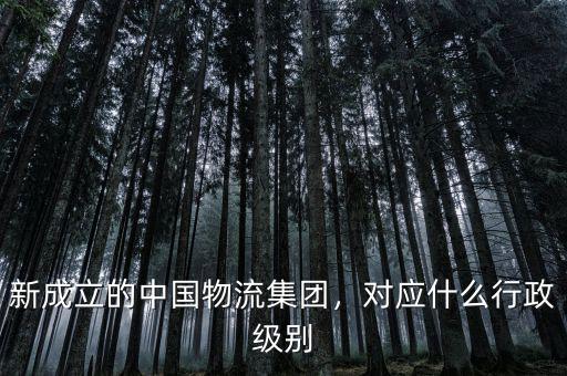 新成立的中國物流集團，對應什么行政級別
