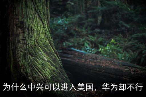 為什么中興可以進入美國，華為卻不行