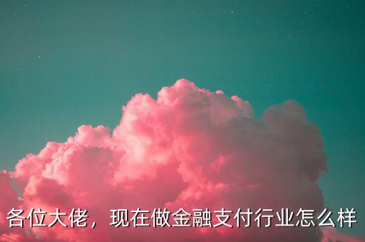 各位大佬，現(xiàn)在做金融支付行業(yè)怎么樣