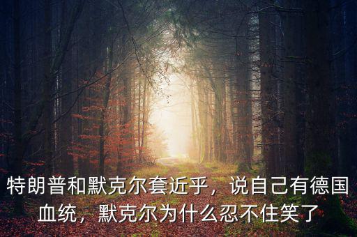 特朗普和默克爾套近乎，說自己有德國血統(tǒng)，默克爾為什么忍不住笑了
