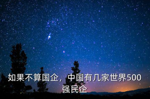 如果不算國企，中國有幾家世界500強(qiáng)民企